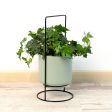 Planter with stand Vinthera Moa Green Metal 18 x 18 x 39 cm (6 Units) For Discount