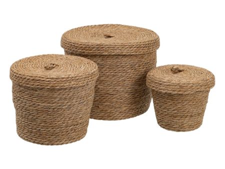 Multi-purpose basket 3 Pieces 28 x 28 x 36 cm Natural Natural Fibre Sale