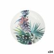 Plate set Algon Disposable Cardboard Tropical 10 Pieces 20 cm (24 Units) Discount